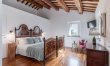 Olive Hilltop 7