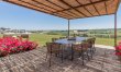 Olive Hilltop 4