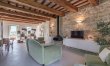 Olive Hilltop 1