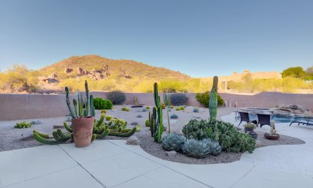 Sonoran Desert Views 4