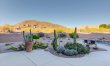 Sonoran Desert Views 4