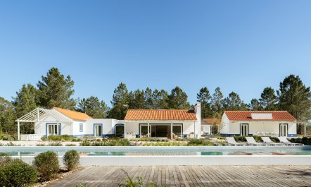 Wild Comporta 1