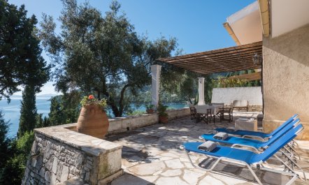 Between the Olives 3