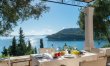 Between the Olives 0