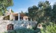 Between the Olives 2