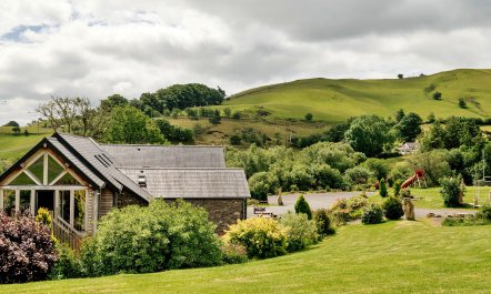 Fresh Pastures 1