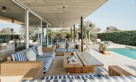 Whitewash & Starlight 5