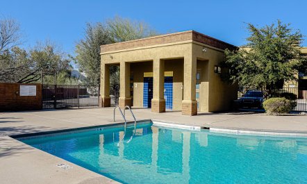 Desert Downtime 1