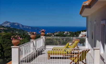 Capri in the Glass 7