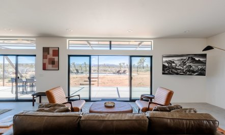 Among Joshua Trees 2