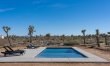 Among Joshua Trees 1