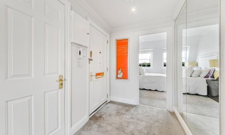 Stucco and Hyde 6