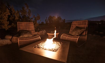 Cedar Under Stars 6