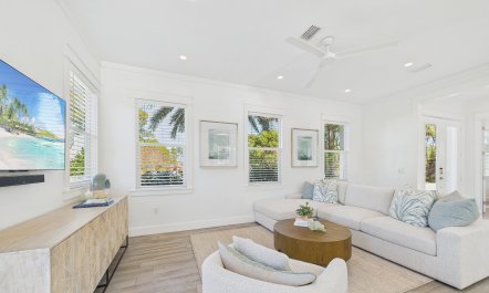 Palms Over Bayshore 1