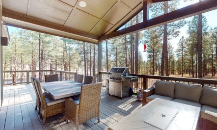 Pines at Coconino 1