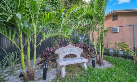 Pergola and Palms 6