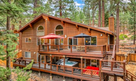 Sauna Among Pines