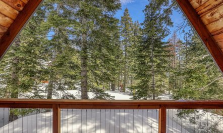 Pines and Piste 1
