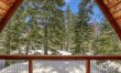 Pines and Piste 1