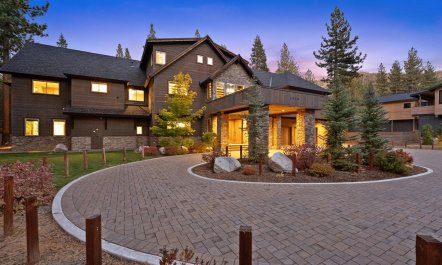 Tahoe Tree Line