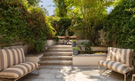 Ivy Garden 1