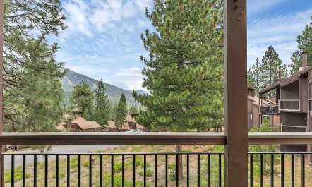 Pines & Mountain Vistas 1