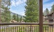 Pines & Mountain Vistas 1