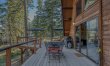 Pine & Meadow 1