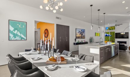 Palm Canyon Living 9
