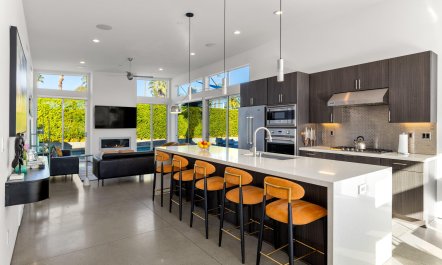 Palm Canyon Living 5