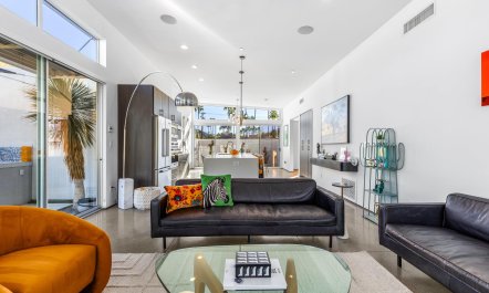 Palm Canyon Living 1