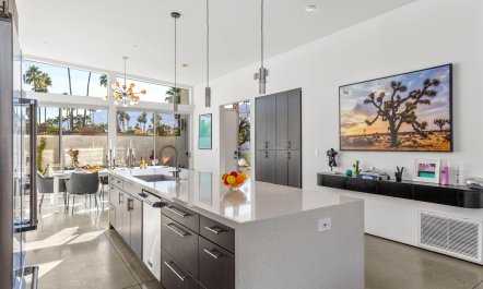 Palm Canyon Living 8