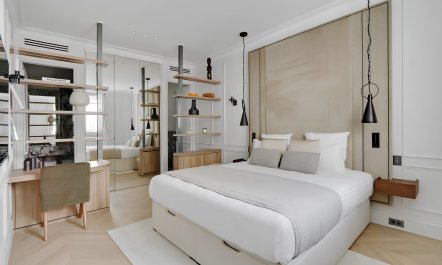 Elegant Parisian 8