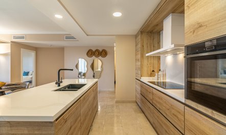Horizon & Palm 6