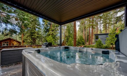 Pines & Lake 1