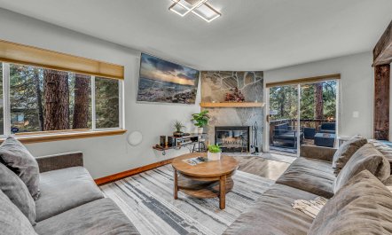 Pines & Lake 4
