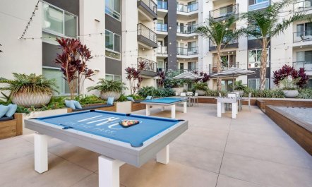 Friday Palms 8