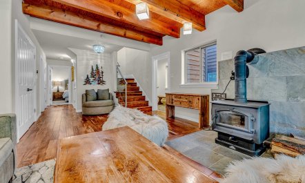 Pine & Cedar 6