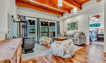 Pine & Cedar 2