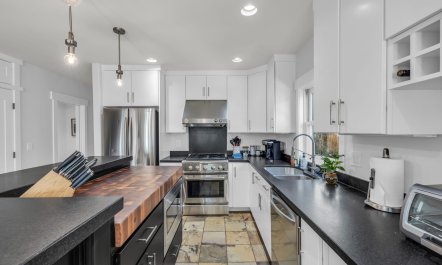 Utah Juniper 7