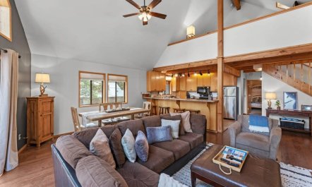 Tahoe Treehouse 4