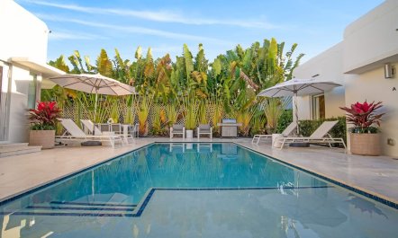 Palm-Fringed Plunge 5