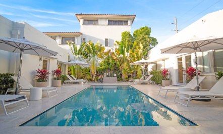 Palm-Fringed Plunge