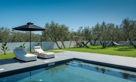 Beyond the Olive Trees
