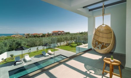 Beyond the Olive Trees 7