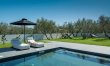 Beyond the Olive Trees 0