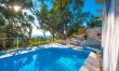 Beneath the Olive Tree 1