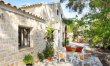 Beneath the Olive Tree 3