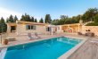 Yellow Wagtail 0