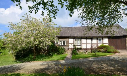1 Bed in Montgomery 7